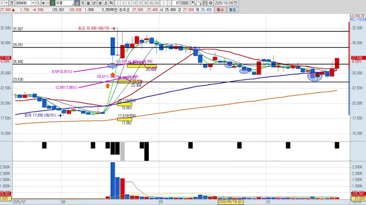 서흥 4차 008490 패턴분석 및 투자전략 (기술적 분석)
