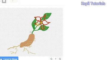 Scratch Tutorial 13 How to Draw and animate Sprite