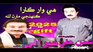 SHAMAN ALI MIRALI  // NEW ALBUM 2025 //EHHEY WAAR KAARA