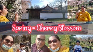 #Vlog #DIML Philly downtown #Cherryblossom Garden #spring #Easter Sunday #familyvlog #teluguvlogsUSA