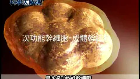23. 何谓干细胞？ - 天天要闻