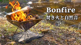 Bonfire by the River REALTIME - Relaxing Fire Burning Video & Nature Sounds - chirping birds. by よかじかん【Mitsu’s Free Time】 20,136 views 2 years ago 1 hour