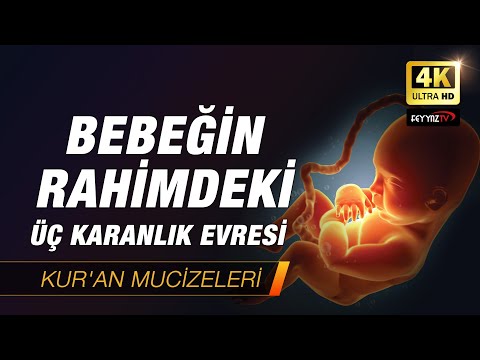 Bebeğin rahimdeki 3 karanlık evresi  [Kuran Mucizeleri] 4K