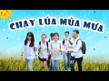 CHẠY LÚA MÙA MƯA | Hai Anh Em Phần 231 | Phim Ngắn Hài Hước Hay Nhất Gãy TV