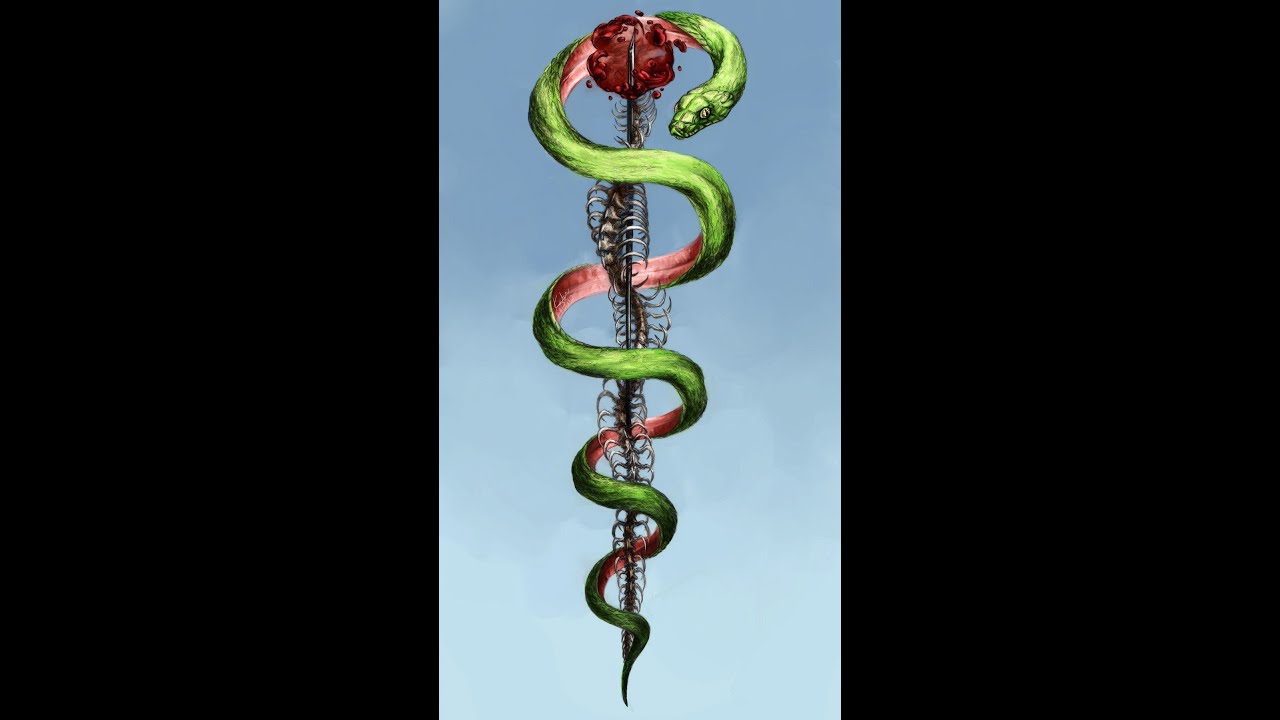 Schenees Mystical, Magical, Medical Tour.  We got diseases, illnesses, ailments and injuries