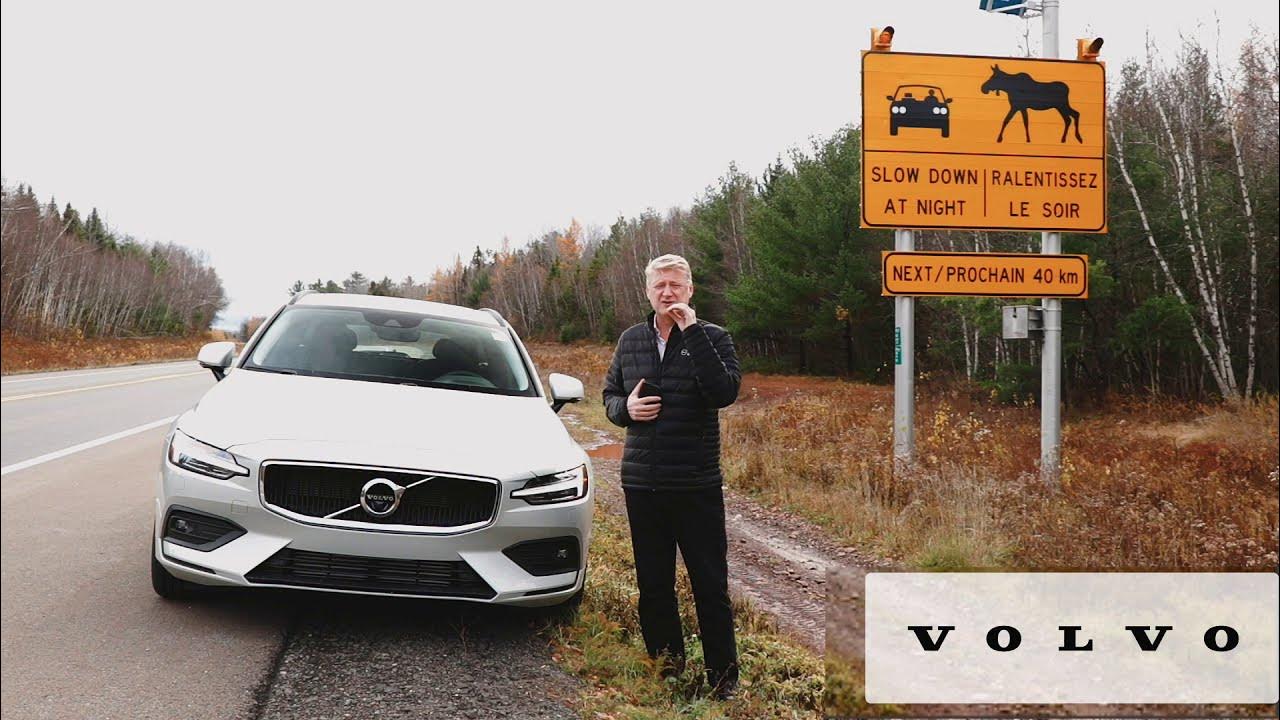 Volvo Cars Large Animal Detection New Brunswick Safety Test YouTube