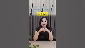 3 Điều cực đơn giản khiến tóc bạn hết rụng - Bác sĩ Nguyên