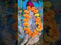 #new #krishna #bhakti #viral #shorts