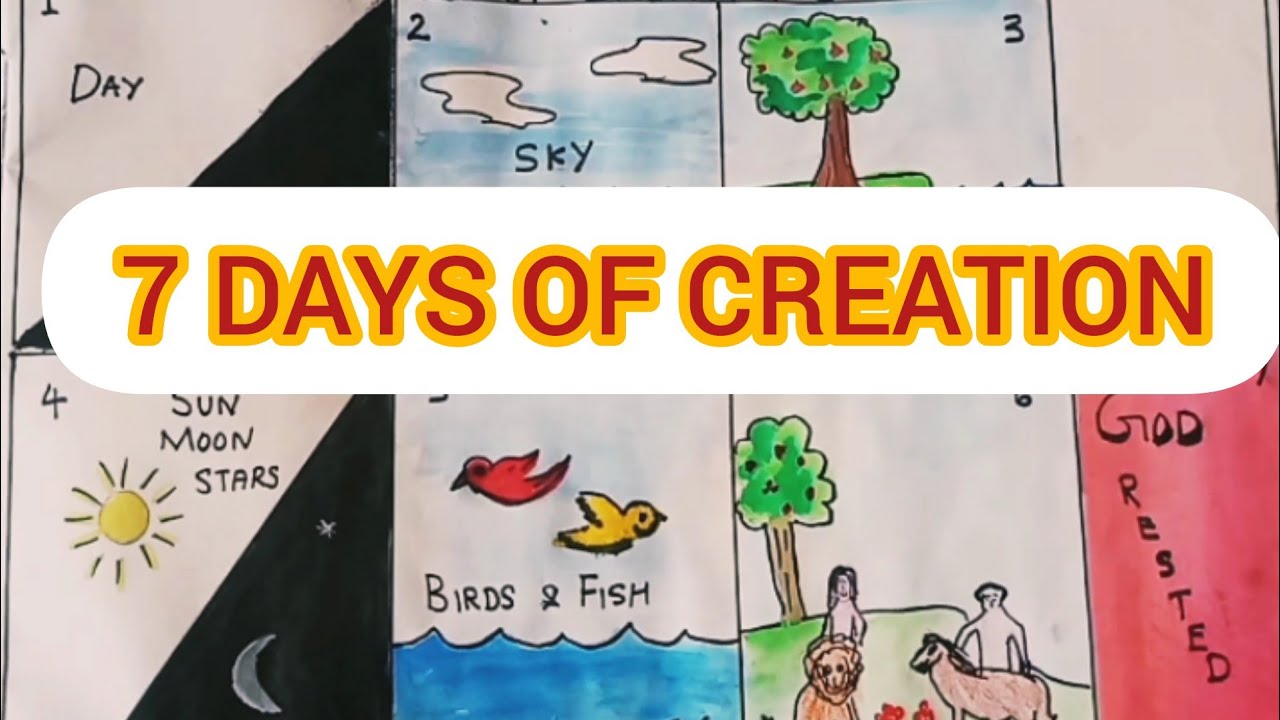 What Did God Create In 7 Days: Unveiling The Divine Week Of Creation
