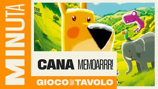 Cana Memoarrr! - Recensioni Minute [627]