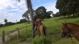 cavalo pulando com peão no pantanal｜Pesquisa do TikTok