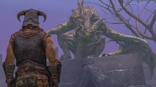 if you Come to Durnehviir After Killing Alduin, he will comment on it...