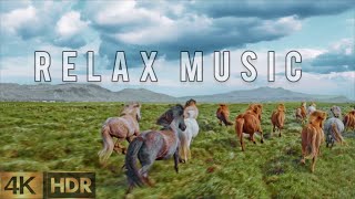 Видио в 4К 🎥 спокойная музыка 🎶 красивые лошади 🐴 4K video 🎥 relax music 🎼  Beautiful horses 🐎