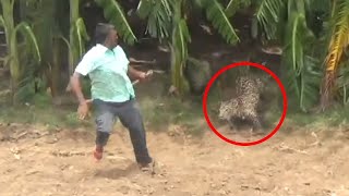 12 Scariest Leopard Encounters of The Year