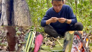 #how  To Survive In Jungle  Without Food And Water | Solo Adventure | @achenvlogs by Achen Vlogs 5,345 views 2 weeks ago 14 minutes, 2 seconds