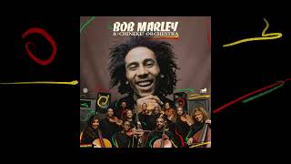 Exodus – Bob Marley and The Chineke! Orchestra (Visualizer)