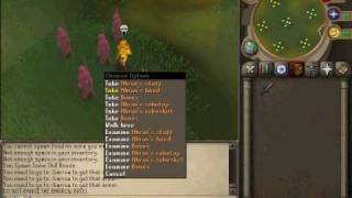 RawrScape508! The New 508 server!