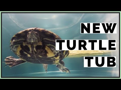 indoor-150-gallon-turtle-tub-for-red-eared-slider!