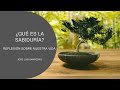 ¿Qué es la sabiduría? Hermosa reflexión sobre nuestra vida. José Luis Sampedro.