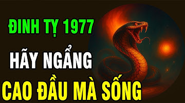 Tuổi Đinh Tỵ 1977: Một Kiếp Long Đong Tưởng Như Bạc Phận, Ai Ngờ Cuối Đời Rực Rỡ Hơn Cả Mơ!