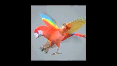 Animal Bird 3D model | max, 3ds, obj, c4d, lwo