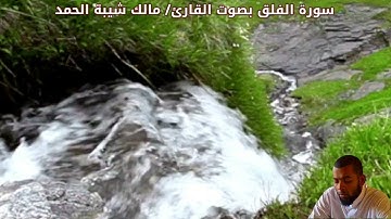سورة الفلق بصوت القارئ/ مالك شيبة الحمد - Surat Al Falaq