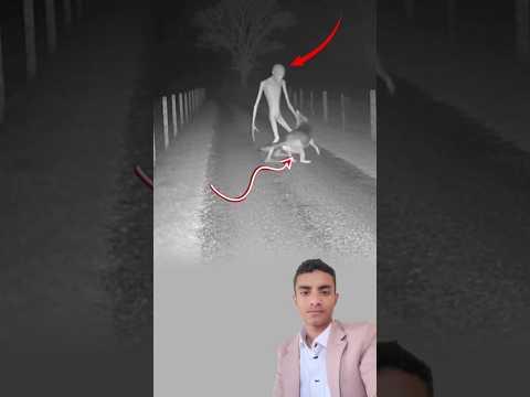 كان الشارع مظلم وفجأة ظهر الشبح من العدم والكلب انفجر نباح ا قبل أن يبدأ الهجوم اكسبلور لايك