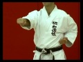 Basic Karate Punches: Chokuzuki - Straight punch