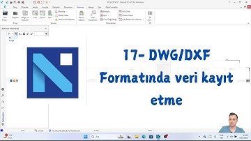 Netcad .DWG/DXF Formatında veri kayıt etme