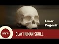 Laser Cut Cardboard and Clay Human Skull: Full Spectrum & 123D Make