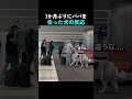 3か月ぶりにパパを会った犬の反応