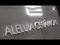 Institutional aleluia cermicas en