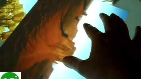 CCV , Multitouch Vista,  MS Surface shell