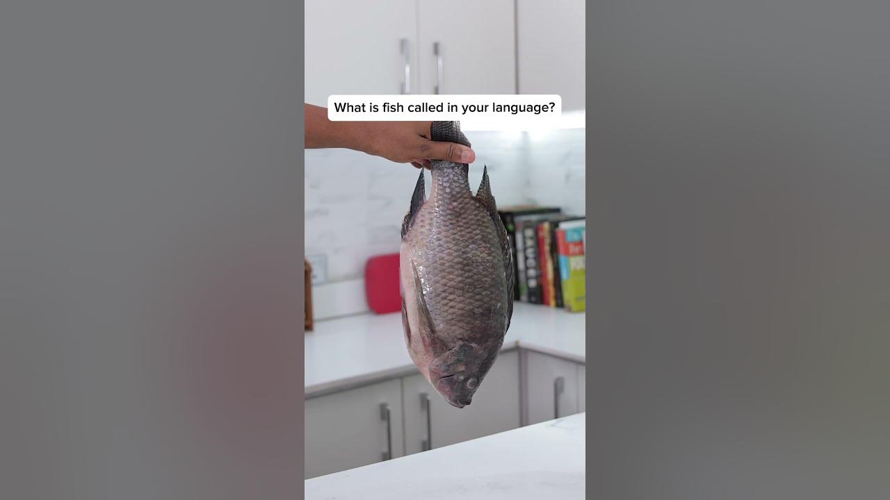 what-is-fish-called-in-your-language-youtube