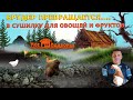 Брудер превращается в СУШИЛКУ: Лайфхак от Валентина // &quot;Мое Подворье&quot;