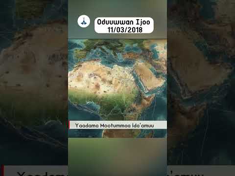 Oduuwwan Ijoo 11 03 2018 Ebc Etv Afaan Oromoo