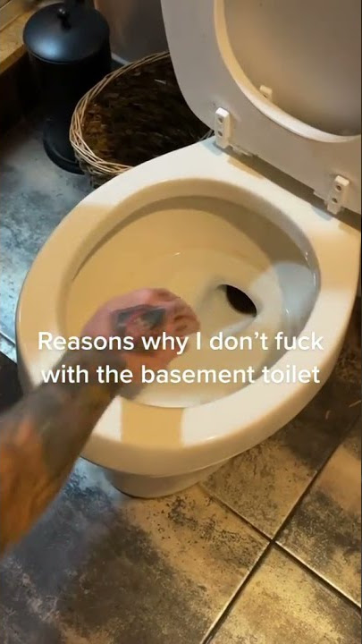 Reason I don't fuck with basement toilet 🐍🐍 #shorts#snake#snakeincity#snakeintoilet#wow