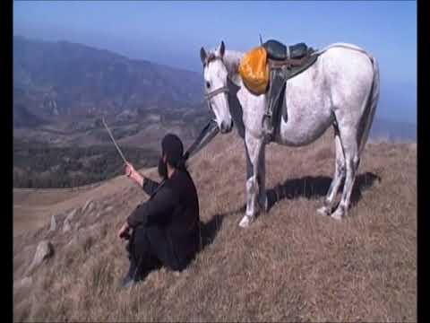 წინაპართა ნაკვალევზე