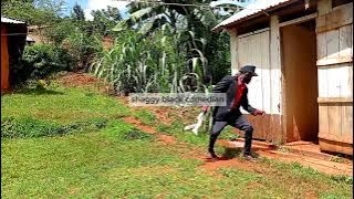 WEKA MATE MLANGONI NAMI NITELEZE 😂😂#luo #trendmusic