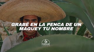 La Ley Del Monte - Vicente Fernández | Letra 