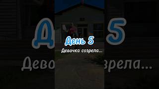 День 5. Девочка созрела - пора идти учиться на права B. #домзабазовую #домза40рублей #купитьдом