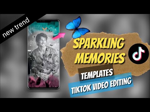 Tiktok Sparkling Memories Butterfly Wala Video Kaise Banaye - Tiktok New Trade Templates - Photo. - 동영상
