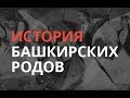 «История башкирских родов»: Калмак 15.12.17