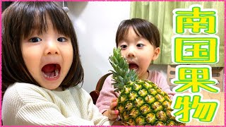 【爆食⭐️】食後のデザート🍍いただきます！【フルーツモッパン】