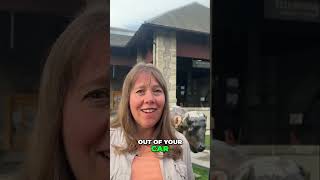 Dont bring your dog to Yellowstone