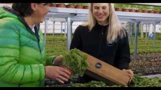 Smooth It & Deliverde - Paikallisesti Parempaa.