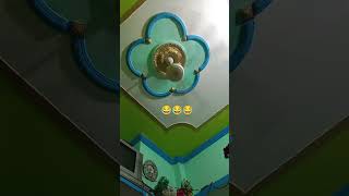 pankha chale to hawa deta hai😂😂😂🤣🤣hmk$#@
