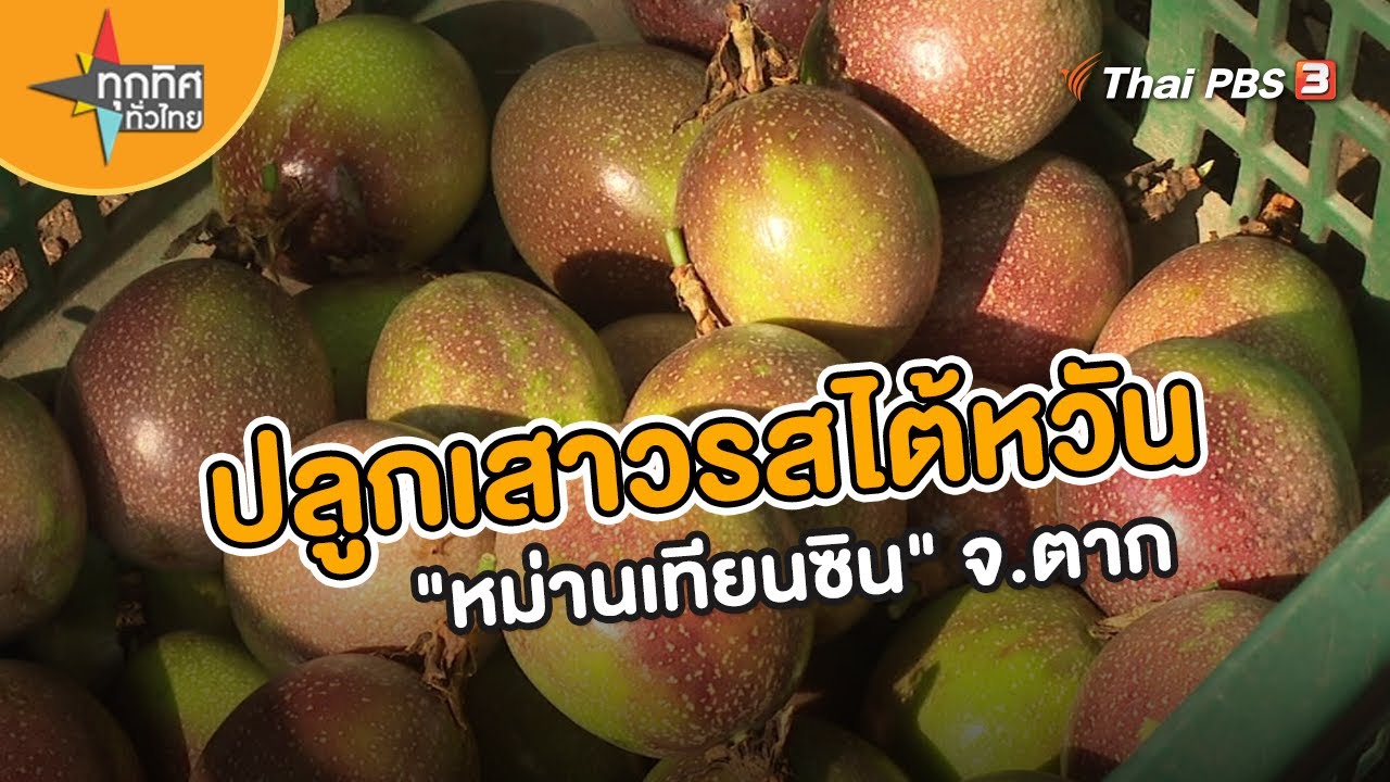 ปลูกเสาวรสไต้หวัน 