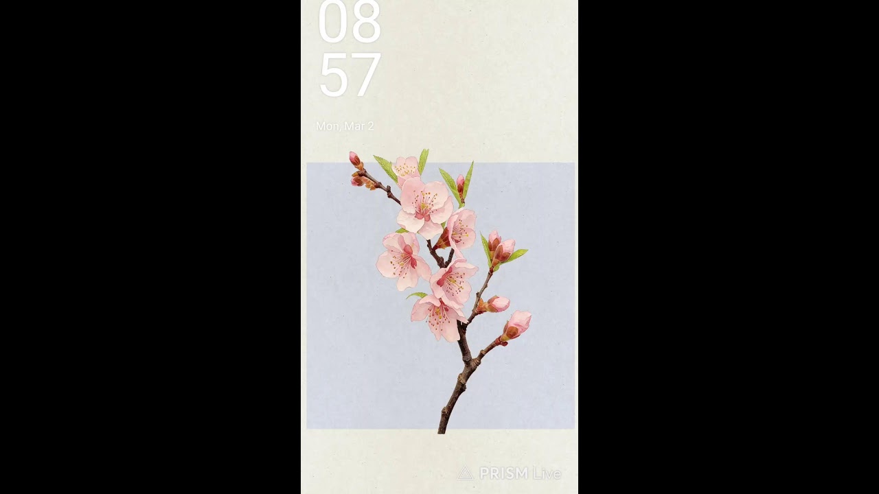 Chinese Woman expert in cooking.