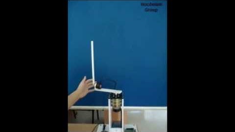 Demo Con lắc ngược xoay